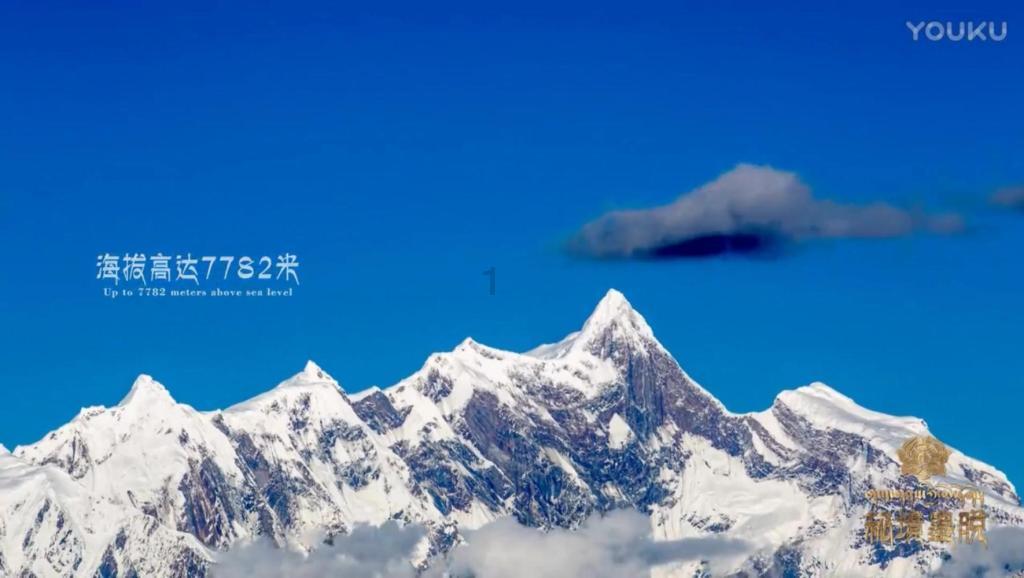 穿越遗弃的森林